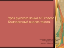 Комплексный анализ текста (9 класс)