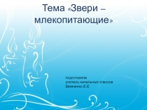 Млекопитающие (1 класс)