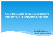 Урок биологии на тему Семейство двудольных растений (6 класс)