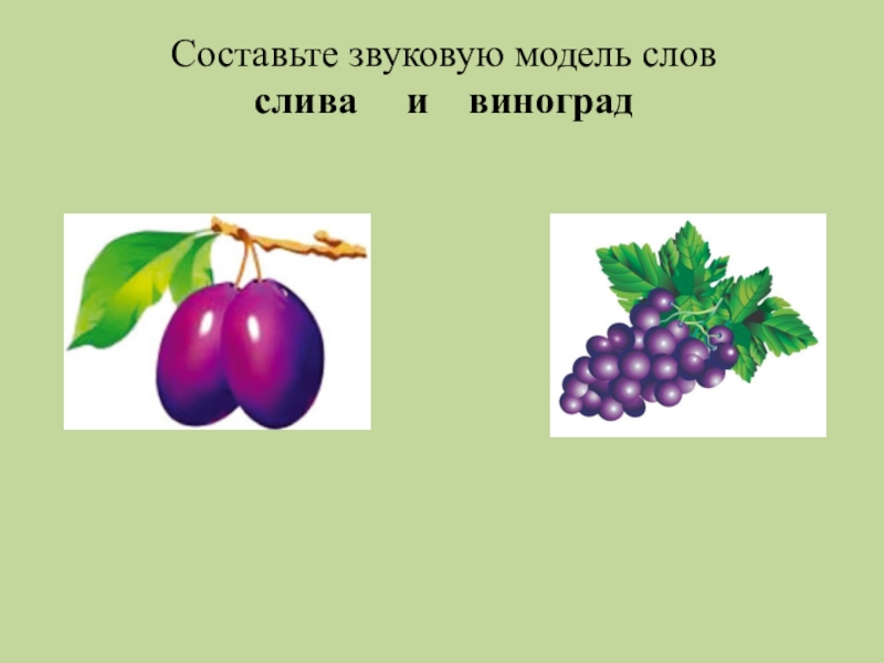 Сливы схема слова цветная