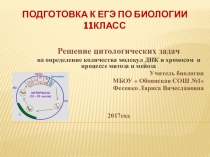 решение задач на митоз и мейоз