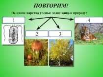 Конспект урока по биологии на тему: Среды обитания(5 класс)