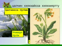 Презентация по родному (лакской) литературе на тему Весна пришла 2часть