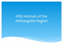 Презентация Wild Animals of the Arkhangelsk Region (3 класс)