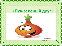 Презентация Лук зелёный друг