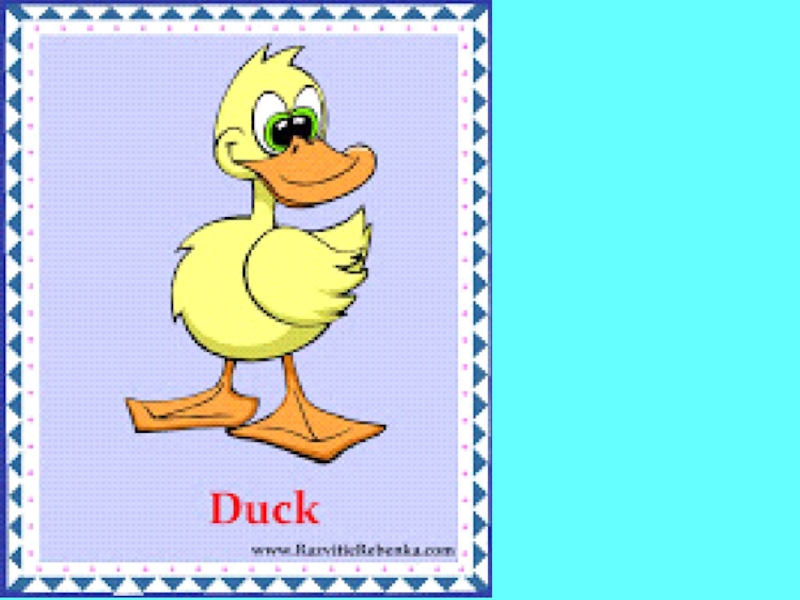 Слово duck. Утка на английском для детей. Утка карточка для детей. Карточка утка на английском. Карточки с английскими словами для детей утка.