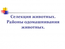 Презентация по биологии на тему: Селекция животных. (11 класс)