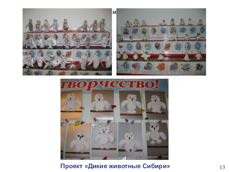 Детский тематический проект для детей старшего - подготовительного дошкольного возраста Новосибирский зоопарк глазами детей Проект «Дикие животные Сибири»Проект «Дикие животные Сибири»13 Проект «Дикие животные Сибири»Проект «Дикие животные Сибири»13