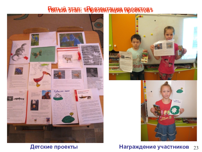 Детский тематический проект для детей старшего - подготовительного дошкольного возраста Новосибирский зоопарк глазами детей Пятый этап: «Презентация проектов»Пятый этап: «Презентация проектов»23Награждение участниковДетские проекты Пятый этап: «Презентация проектов»Пятый этап: «Презентация проектов»23Награждение участниковДетские проекты
