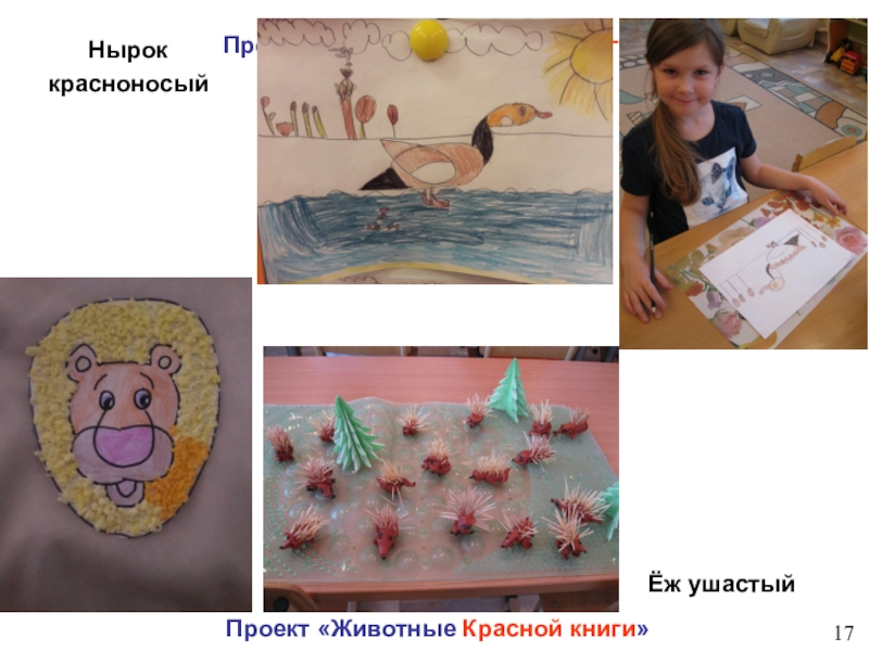 Детский тематический проект для детей старшего - подготовительного дошкольного возраста Новосибирский зоопарк глазами детей Проект «Животные Красной книги»Проект «Животные Красной книги»17Нырок красноносыйЁж ушастый Проект «Животные Красной книги»Проект «Животные Красной книги»17Нырок красноносыйЁж ушастый