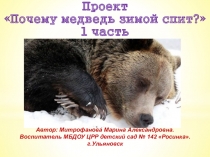 Презентация по окружающему миру Почему медведь зимой спит?