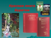 Презентация для дошкольников красная книга Бурятии