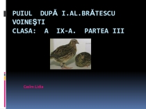 Prezentaţie POWER POINT ,,Puiul partea 3 de Ioan Al.Brătescu-Voineşti clasa 9scoala alolingvă.