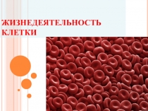 Презентация по биологии по теме жизнедеятельность клетки 5 класс
