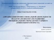 Презентация опыта работы по развитию эмоциональной сферы старших дошкольников
