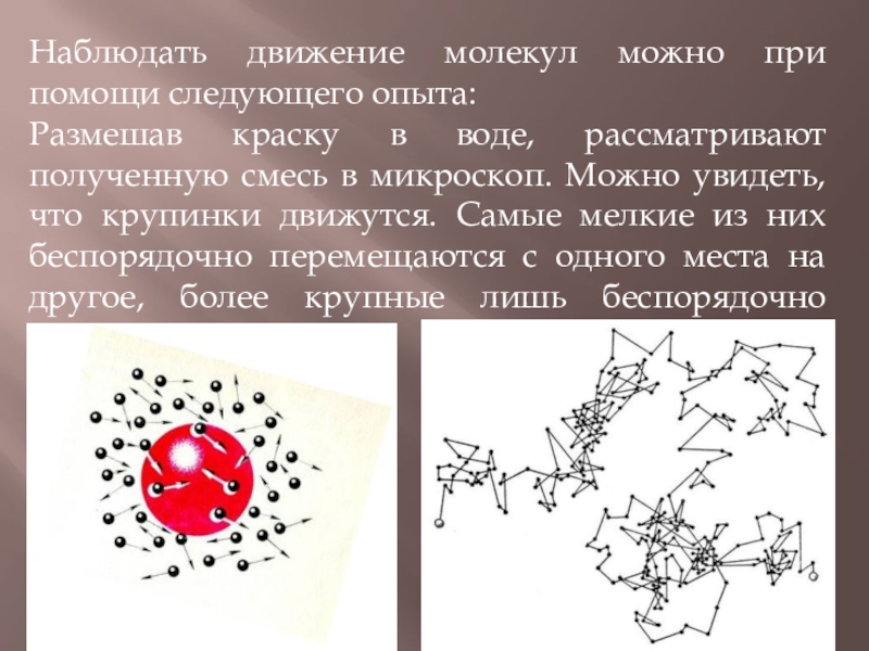 Примеры броуновского движения