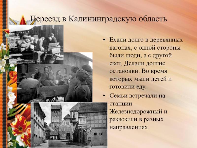 Презентация по теме Судьба семьи в судьбе страны Переезд в Калининградскую областьЕхали долго в деревянных вагонах, с одной стороны Переезд в Калининградскую областьЕхали долго в деревянных вагонах, с одной стороны были люди, а с другой скот.