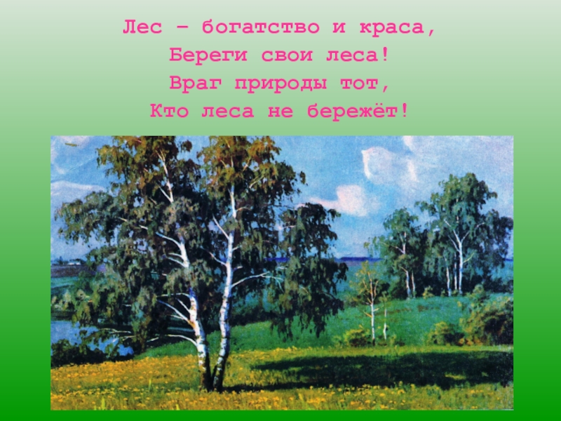 Презентация лес наше богатство для дошкольников