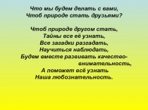 Презентация по окружающему миру на тему В гости к весне (2 класс)