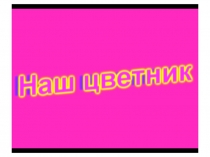 Презентация. Скриншоты к видеофильму Наш цветник (проект в рамках недели биологии Сказки о цветах)