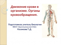 Презентация по биологии Кровообращение человека