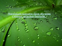 Презентация  Реализация принципа связь обучения с жизнью на уроках биологии