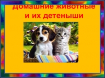Домашние животные и их детеныши