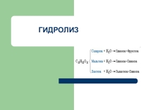 Гидролиз для 11 классов