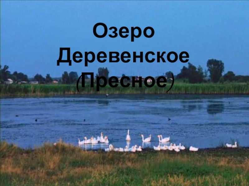 Презентация Отражение истории села Полойка в топонимических названиях Озеро Деревенское (Пресное) Озеро Деревенское (Пресное)