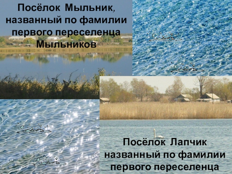Презентация Отражение истории села Полойка в топонимических названиях Посёлок Мыльник, названный по фамилии первого переселенца МыльниковПосёлок Лапчик названный по фамилии первого переселенца Лапшин Посёлок Мыльник, названный по фамилии первого переселенца МыльниковПосёлок Лапчик названный по фамилии первого переселенца Лапшин