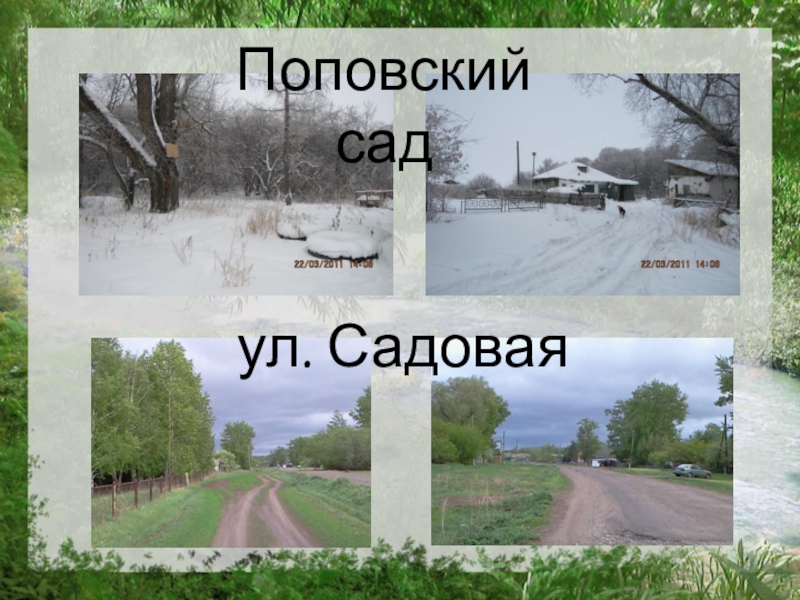 Презентация Отражение истории села Полойка в топонимических названиях ул. СадоваяПоповский сад ул. СадоваяПоповский сад