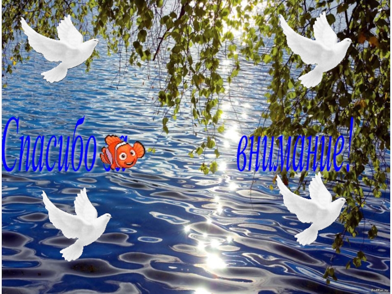 Презентация Отражение истории села Полойка в топонимических названиях Спасибо за внимание! Спасибо за внимание!