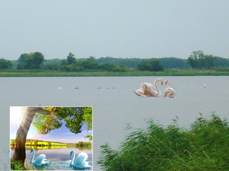 Презентация Отражение истории села Полойка в топонимических названиях