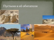 Урок окружающего мира по теме: Пустыня.