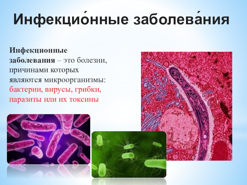 Заболевания которые являются бактериями. Бактерии вирусы паразиты. «Инфекционные заболевани. Бактерии инфекционных заболеваний. Микроорганизмы инфекционные заболевания.
