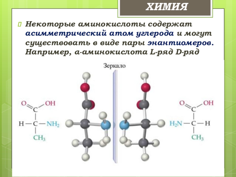 Презентация по химии аминокислоты