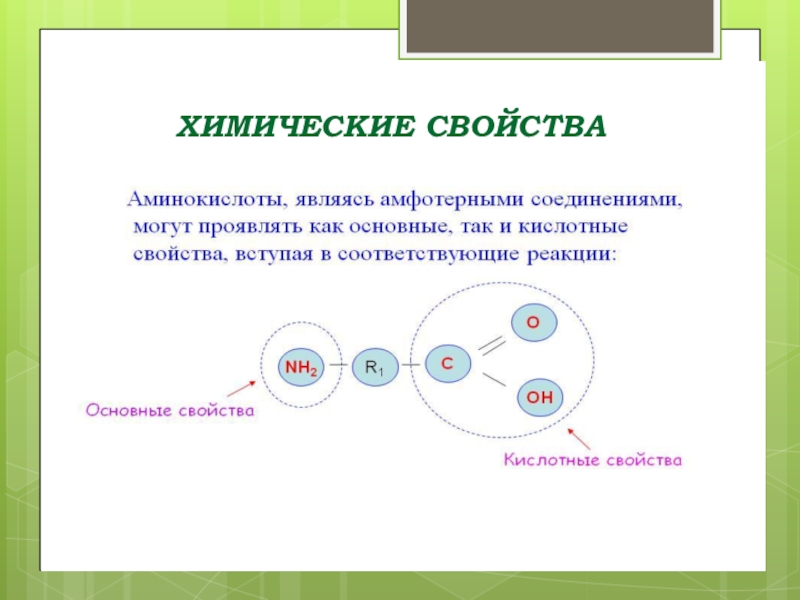 Презентация по химии аминокислоты белки