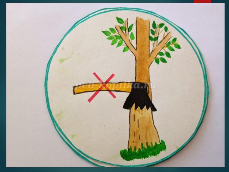 Нельзя рубить деревья. Экологические знаки. Не вырубайте деревья. Знак нельзя рубить деревья. Знаки природы для детей.