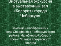 Презентация проекта Виртуальная экскурсия в выставочный зал Колорит города Чебаркуля