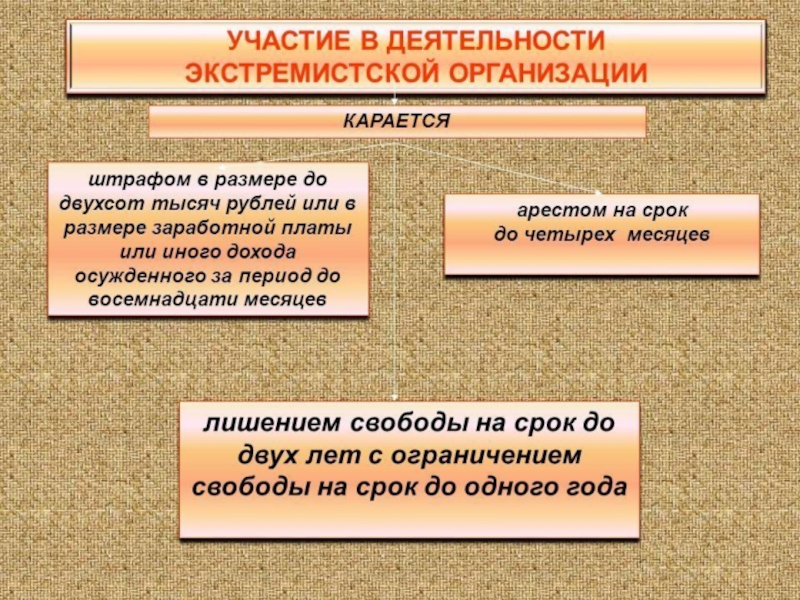 Статья ук терроризм и экстремизм. Экстремизм презентация 10 класс. Участие в экстремистской деятельности. Методика расследования преступлений экстремистской направленности. Экстремистская направленность это.