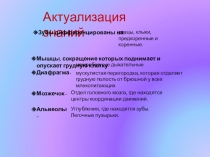Презентация по биологии на тему Размножение и развитие млекопитающих