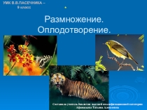 Презентация по биологии на тему Размножение (9 класс)