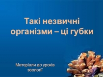 Презентація з біології на тему Губки(8 клас)