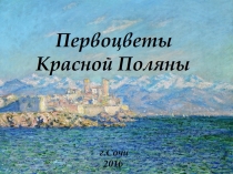 Презентация по окружающему миру на тему Первоцветы Красной Поляны