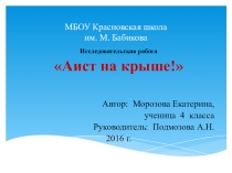 Презентация к исследовательской работе Аист на крыше!