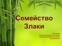 Презентация по биологии на тему: Семейство Злаки ( 6 класс)