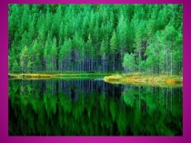 Презентация к игре брейн-ринг Наедине с природой