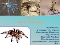 Презентация по окружающему миру Пауки