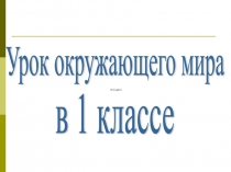 Презентация к уроку окружающий мир на тему Звери-млекопитающие (1 класс)