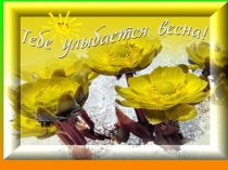Презентация по русскому языку  Местоимение!
